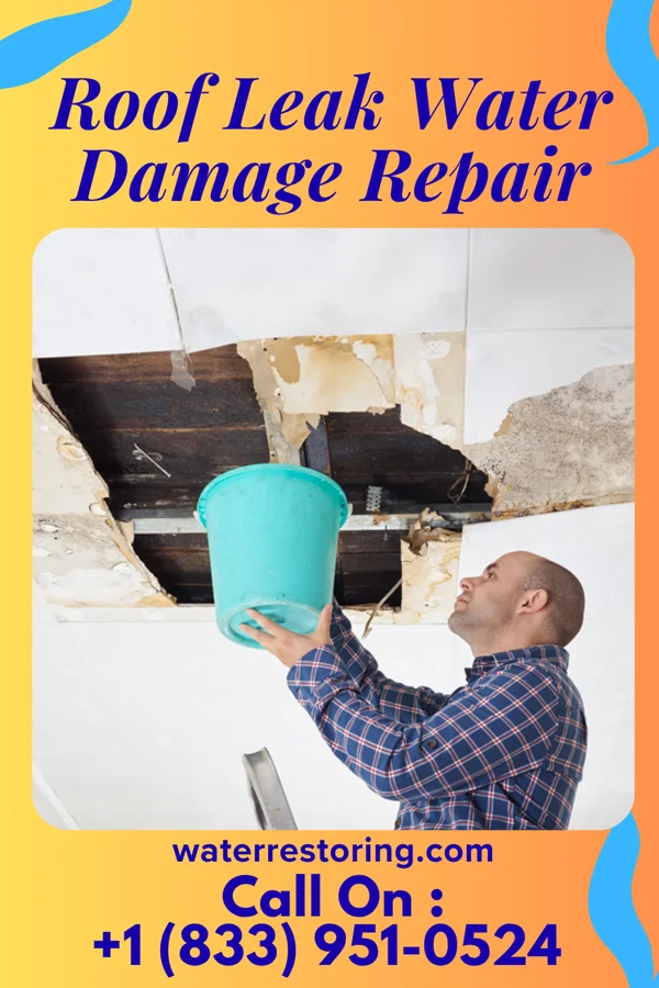Roof Leak Water Damage Repair in Camp Hill, PA