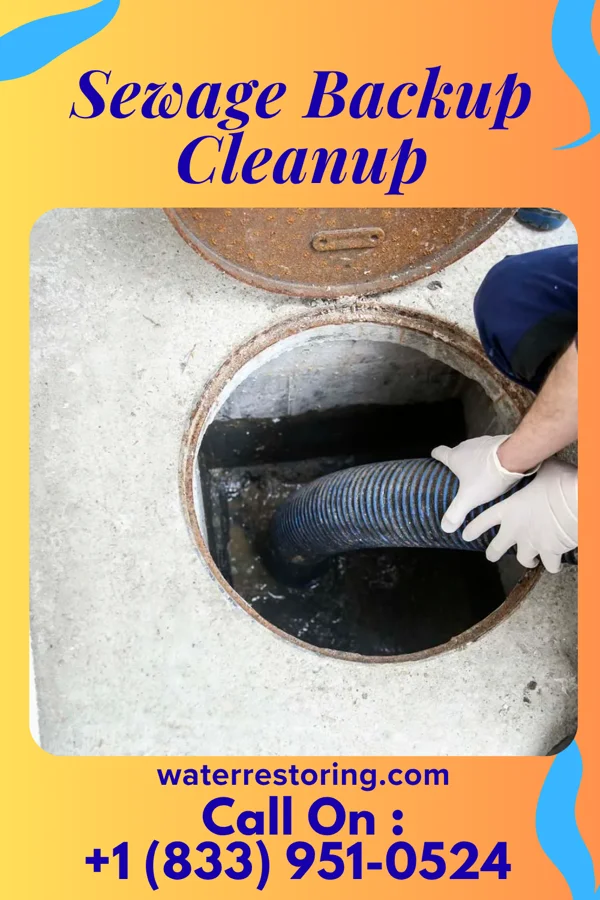 Sewage Backup Cleanup in Camp Hill, PA
