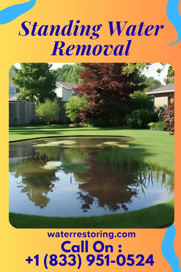 Standing Water Removal in Camp Hill, PA